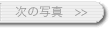 ̃XehOXʐ^